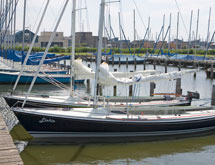 Fraaie jachthaven aan het Heegermeer