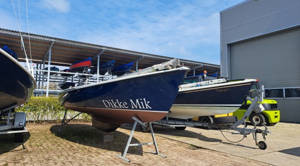 Dikke Mik