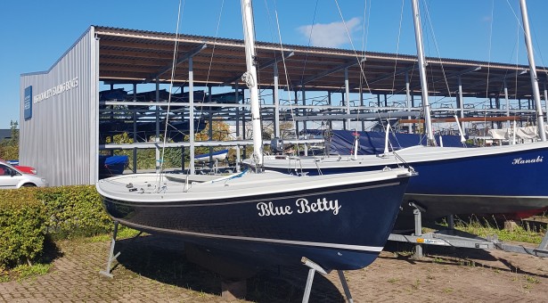 Blue Betty