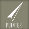 Pointer